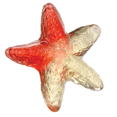 Sparkle Sea Mix 4 Pack